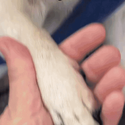 SafeClip – Leikkaa kynnet ilman riskiä tai stressiä